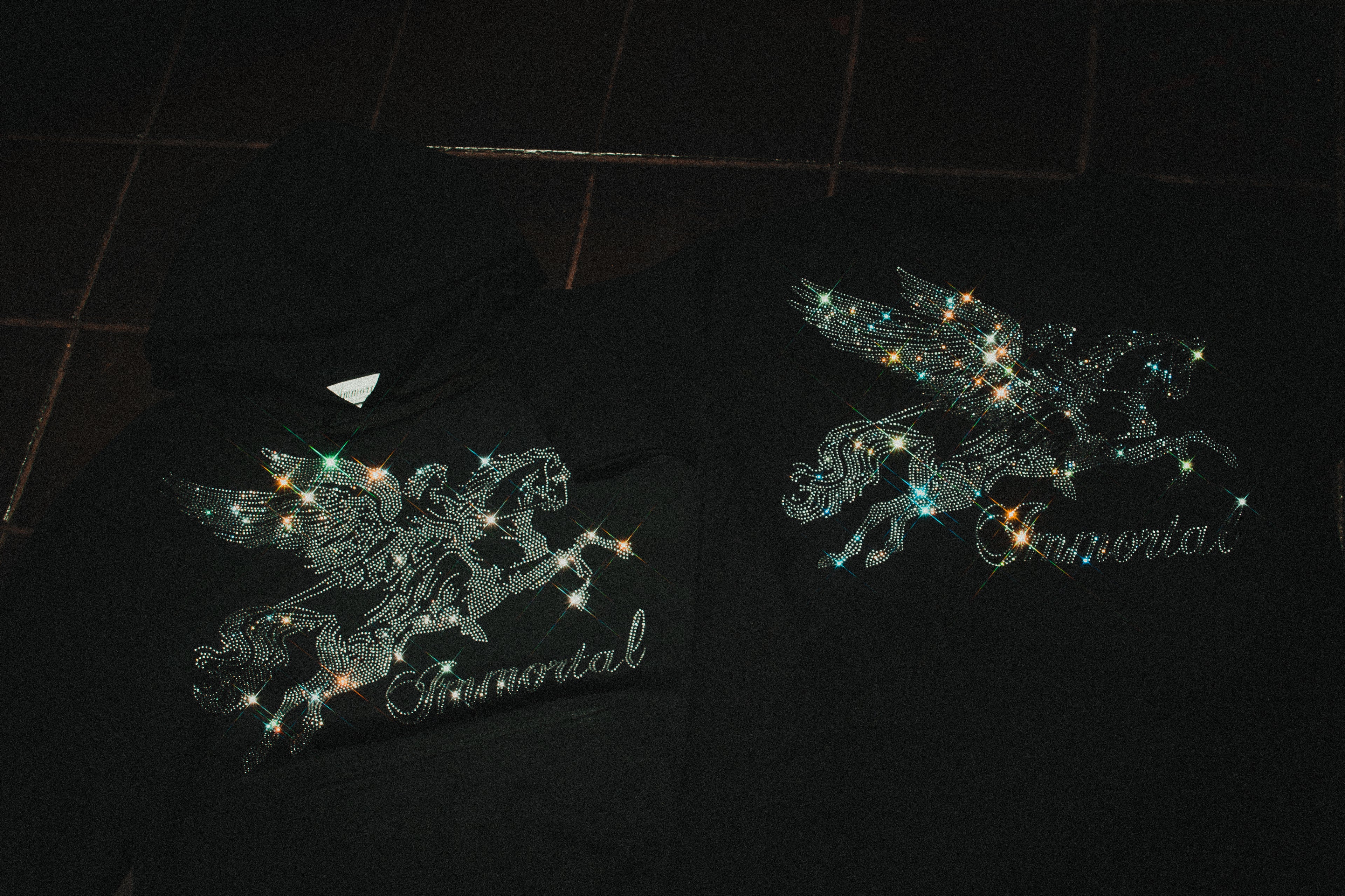 PEGASUS TEE