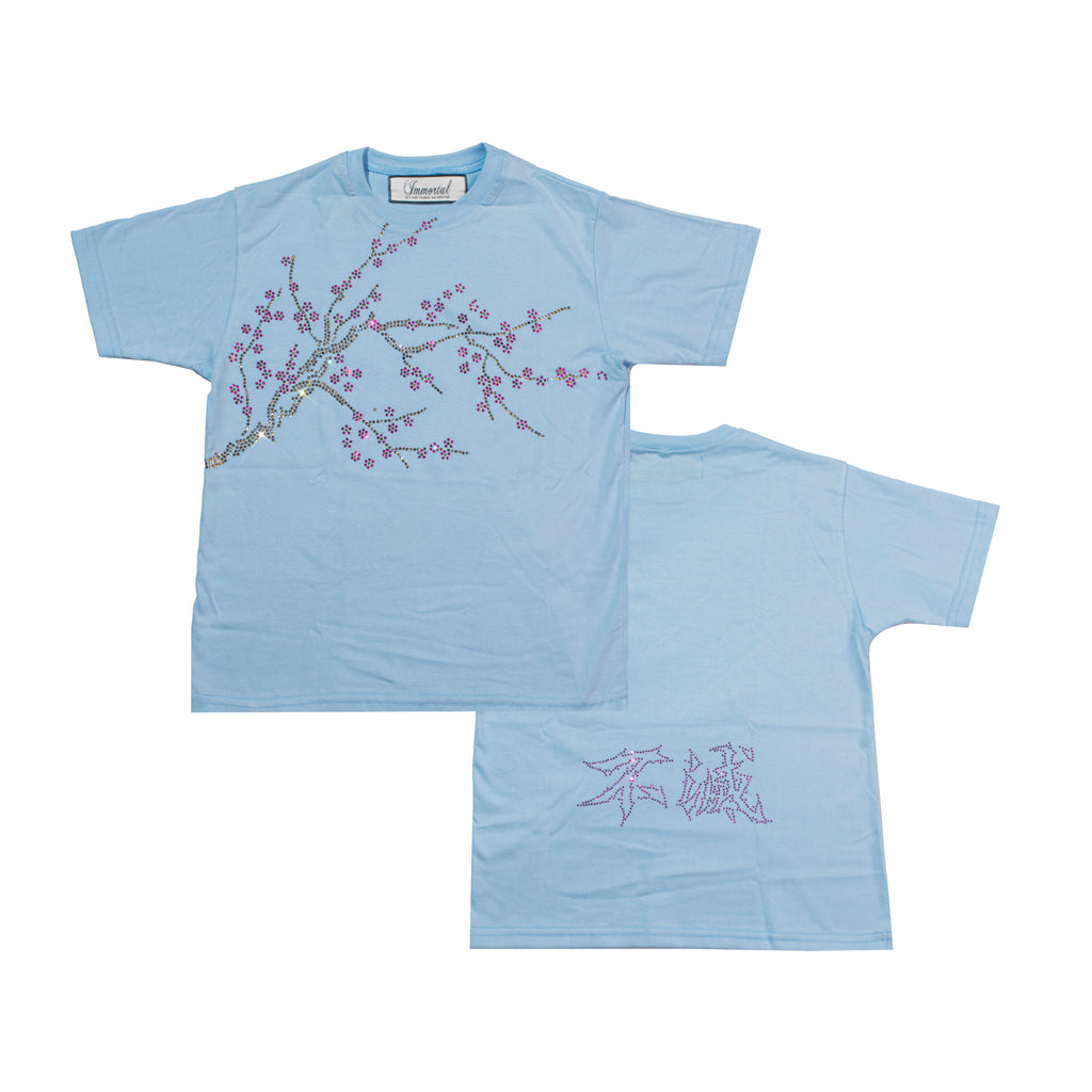 POLERA GRATIS AL AGREGAR AL CARRITO (DISEÑO AL AZAR)