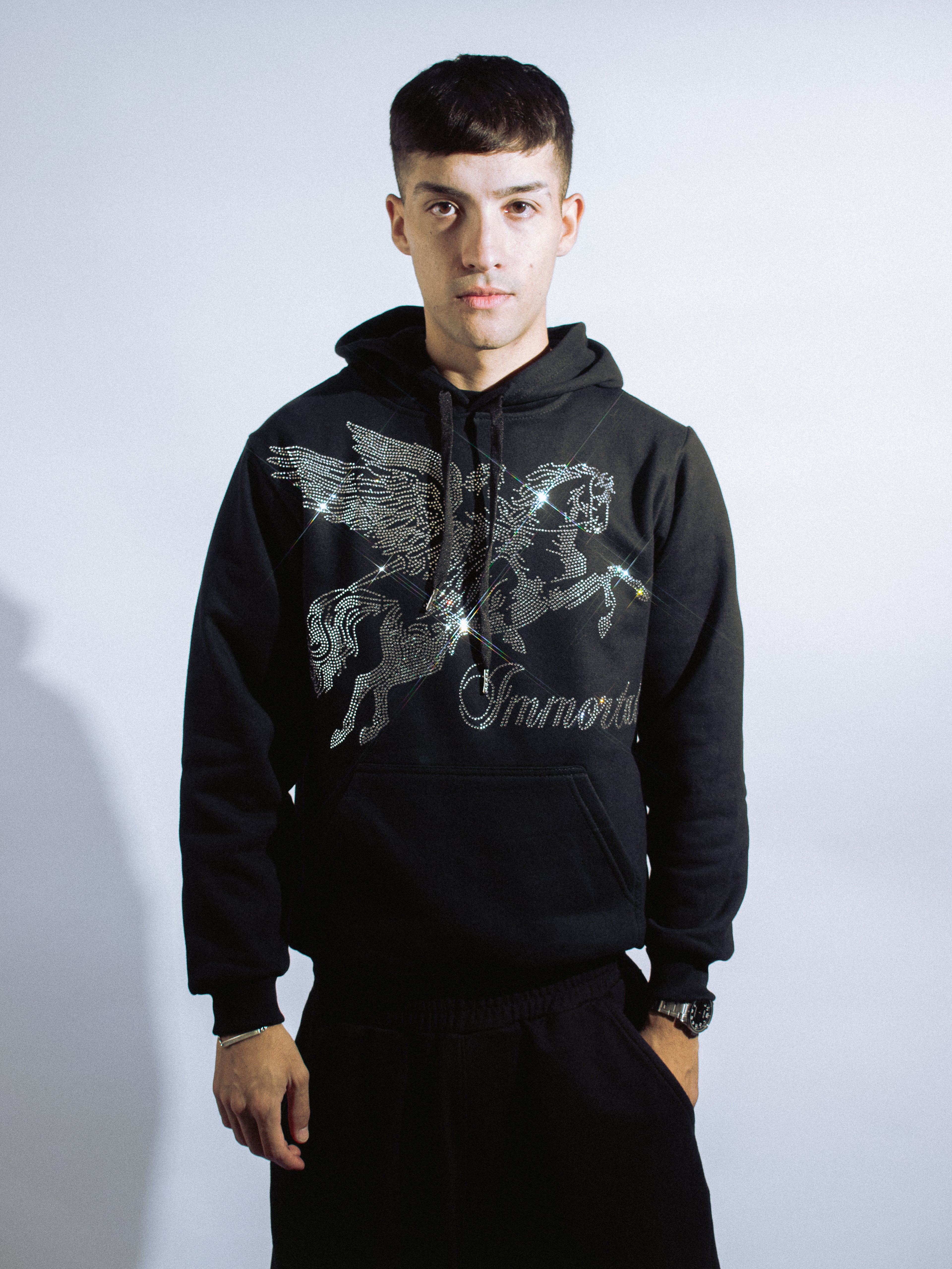 PEGASUS HOODIE