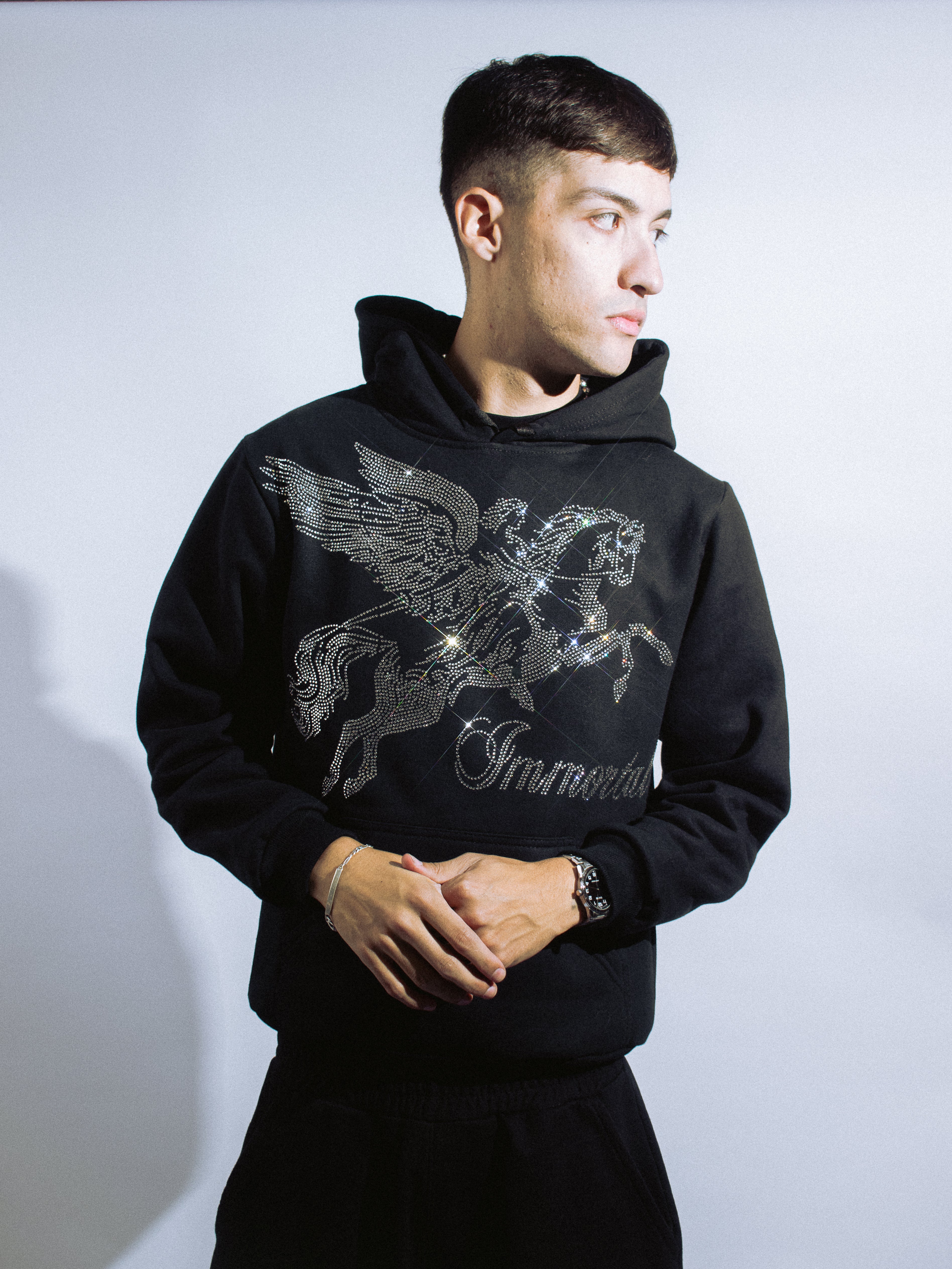 PEGASUS HOODIE