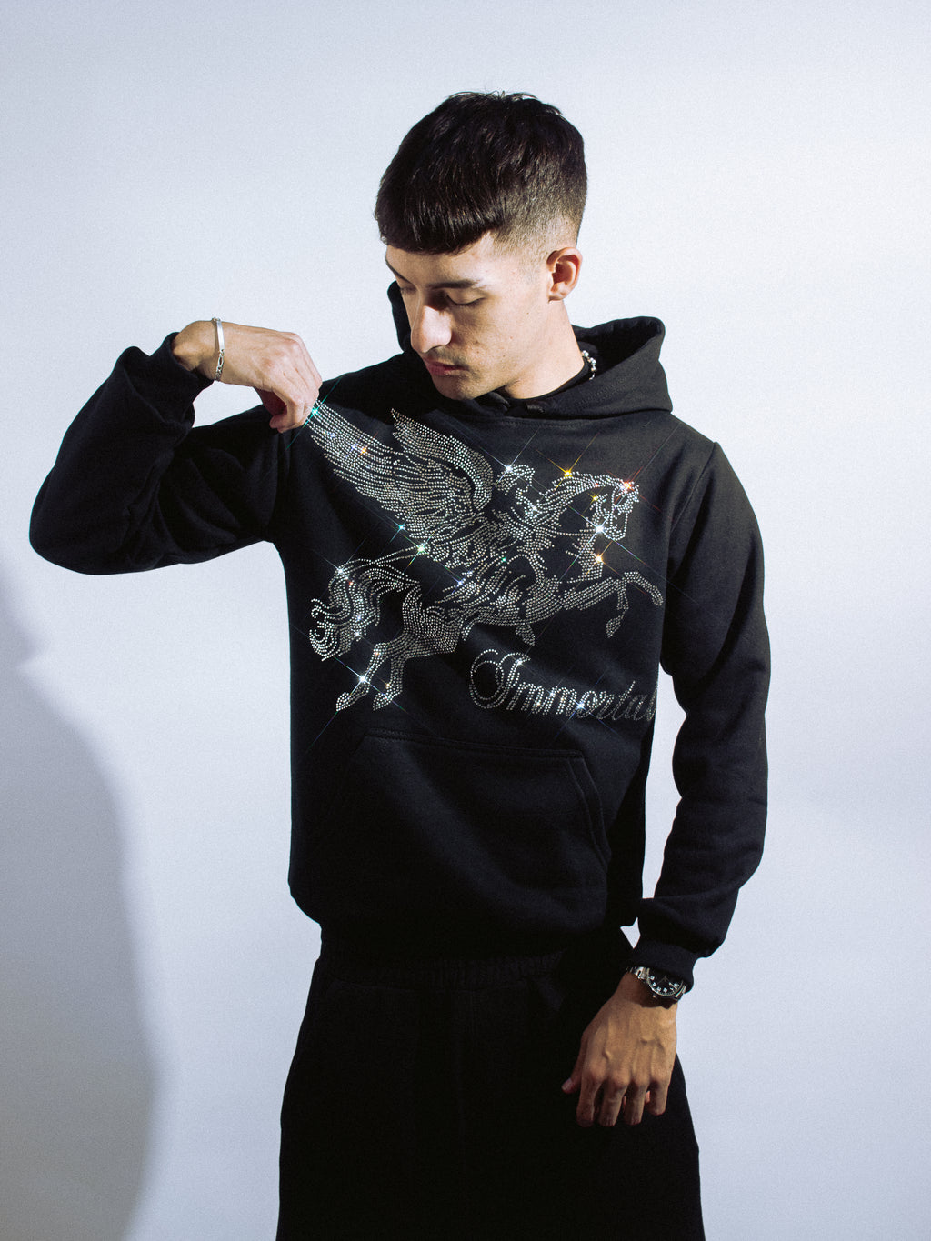 PEGASUS HOODIE