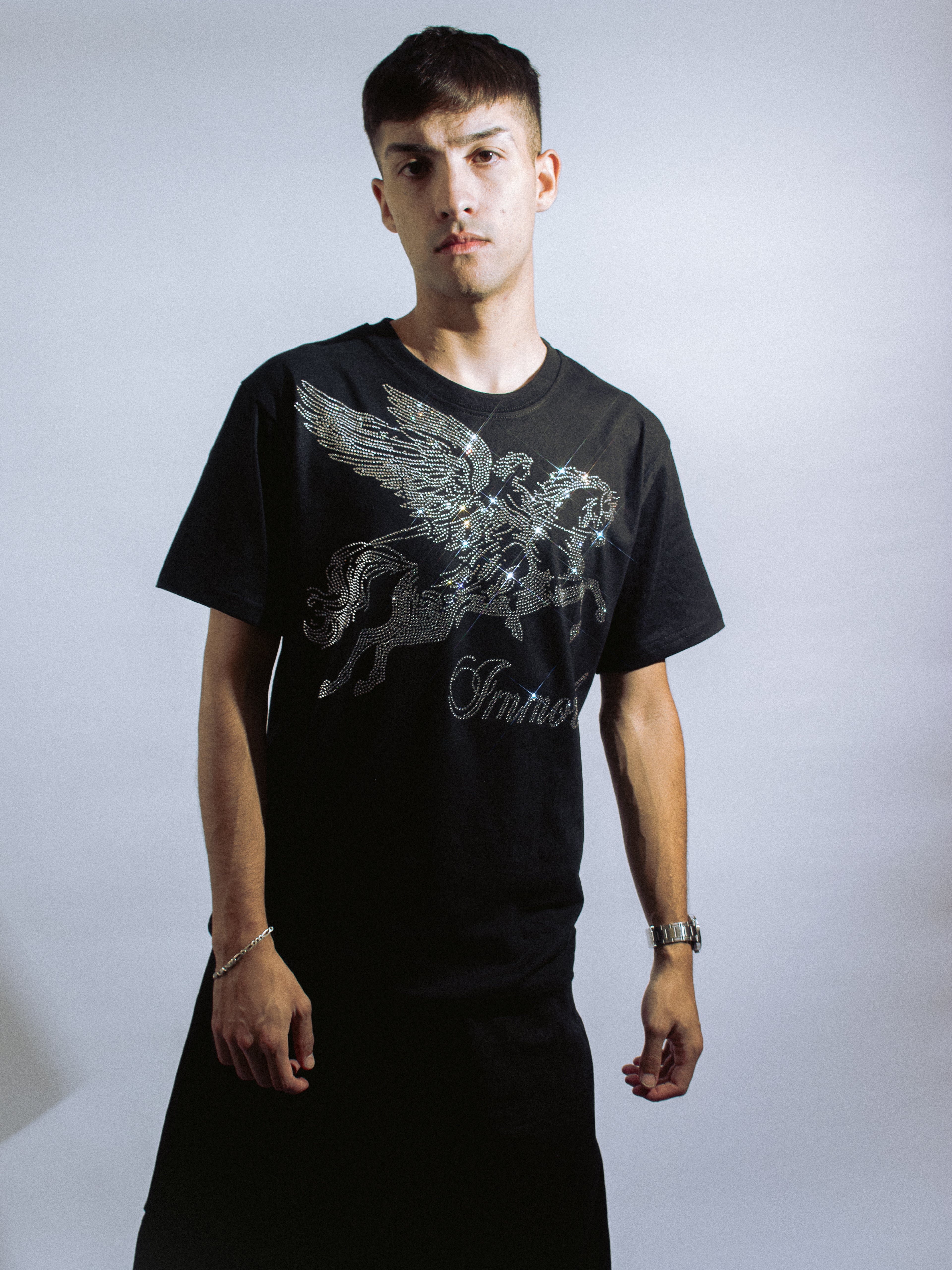 PEGASUS TEE