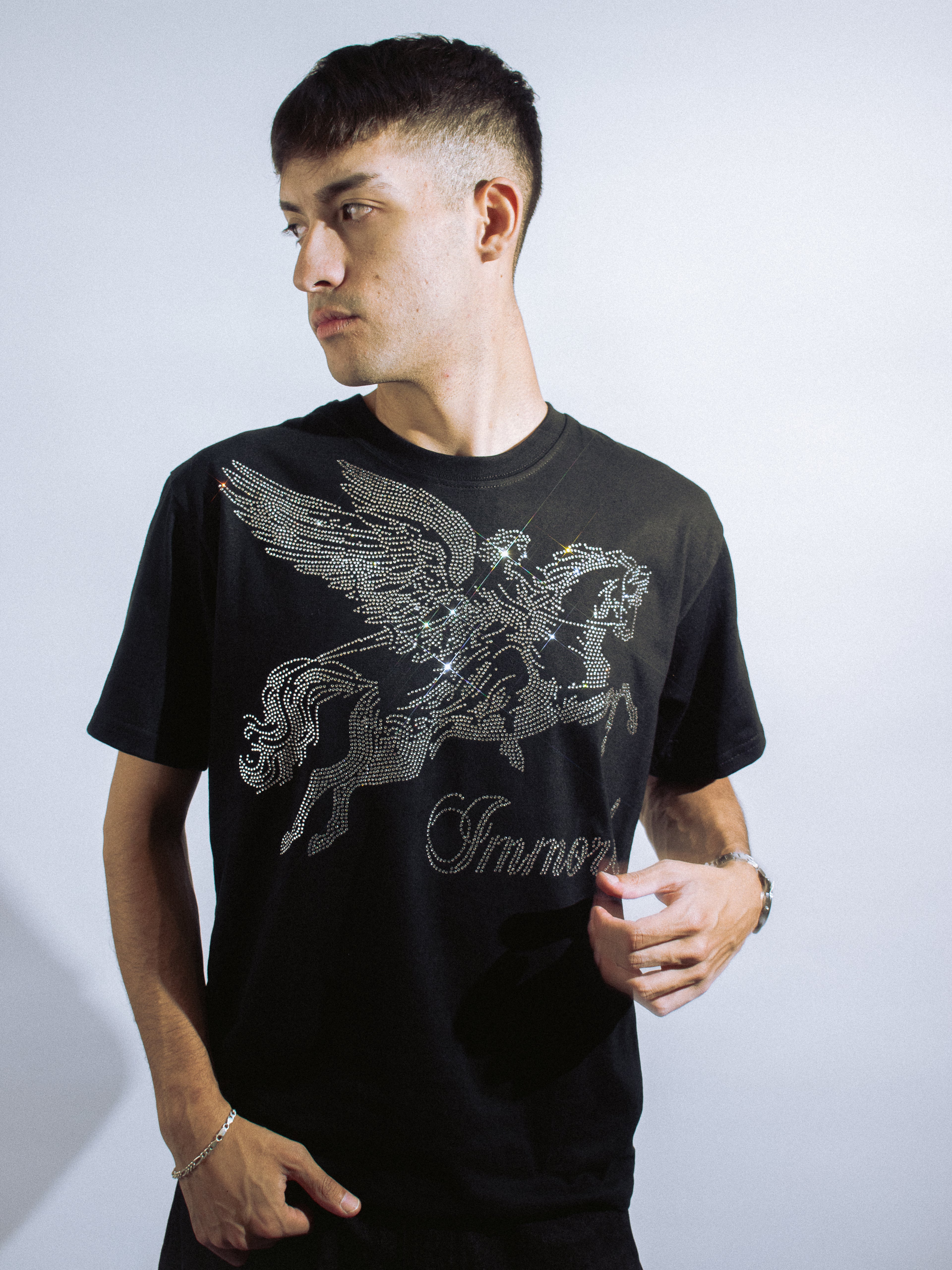 PEGASUS TEE