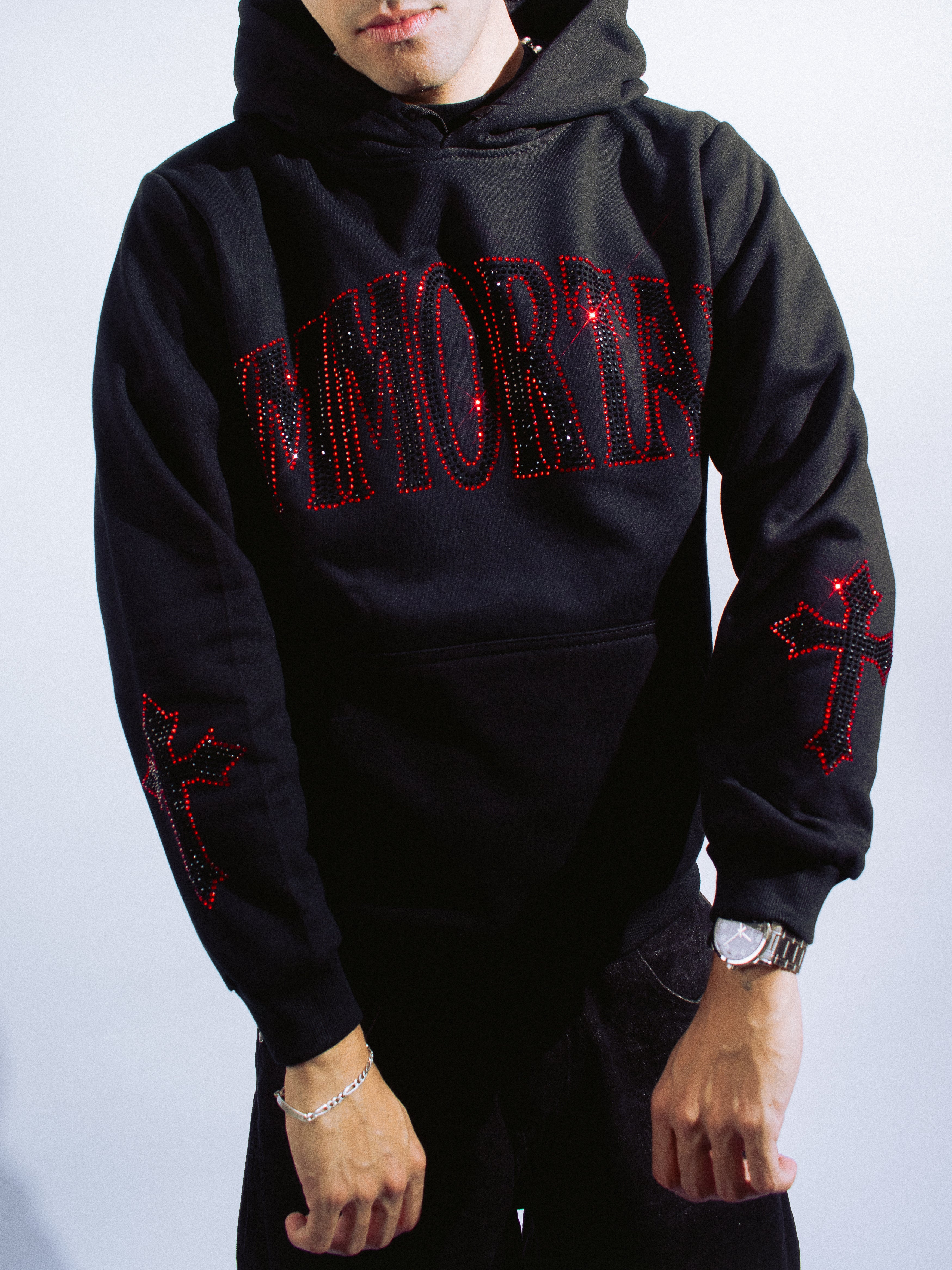 CRYSTALS REDVENOM HOODIE / ZIP