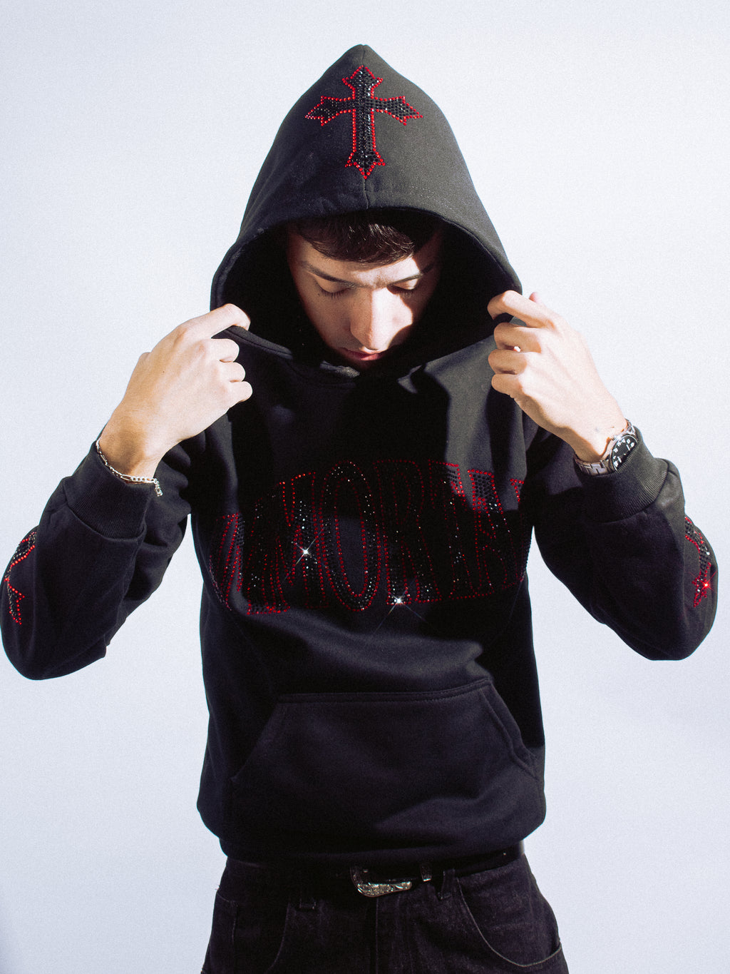CRYSTALS REDVENOM HOODIE / ZIP