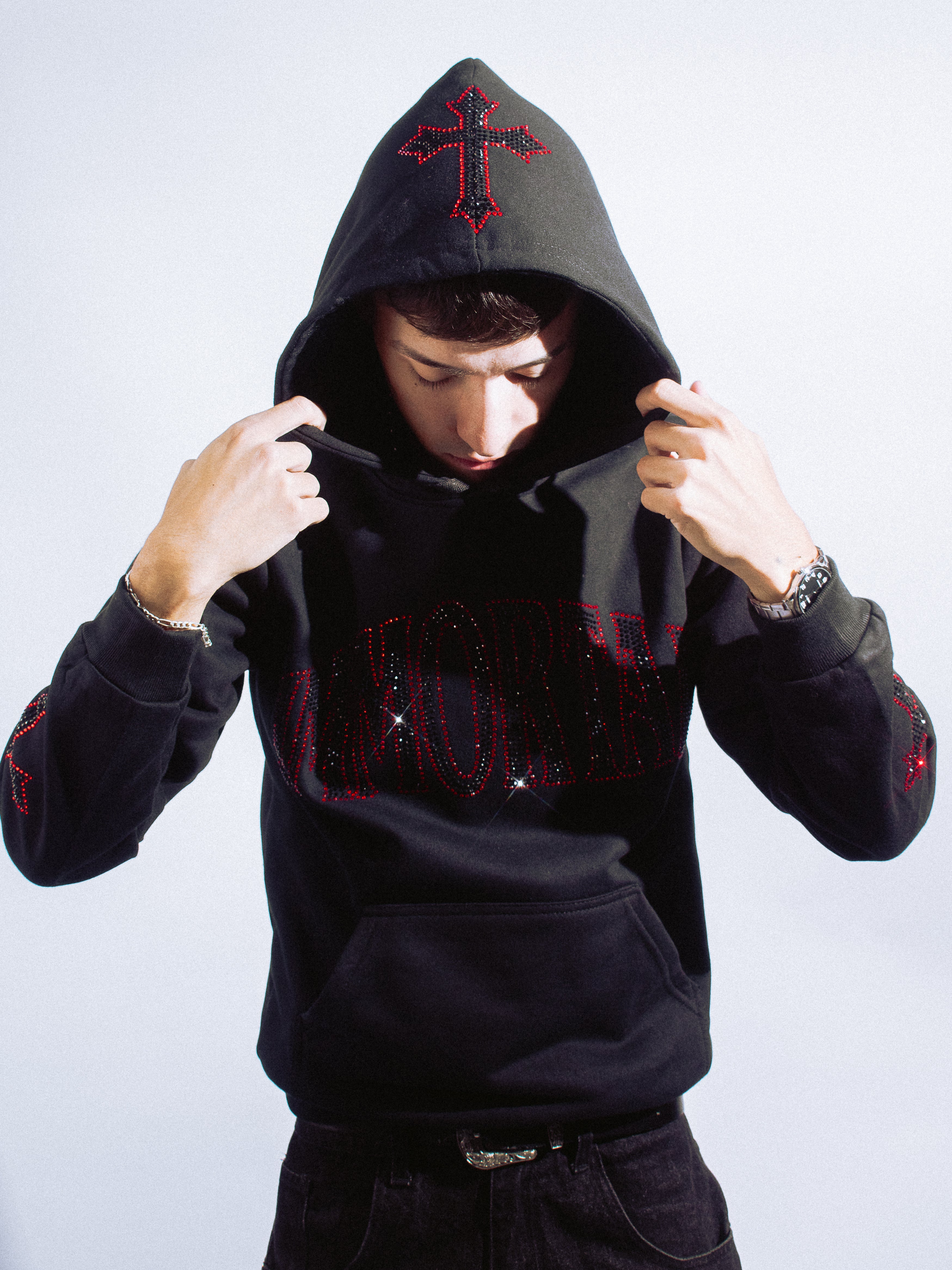 CRYSTALS REDVENOM HOODIE / ZIP