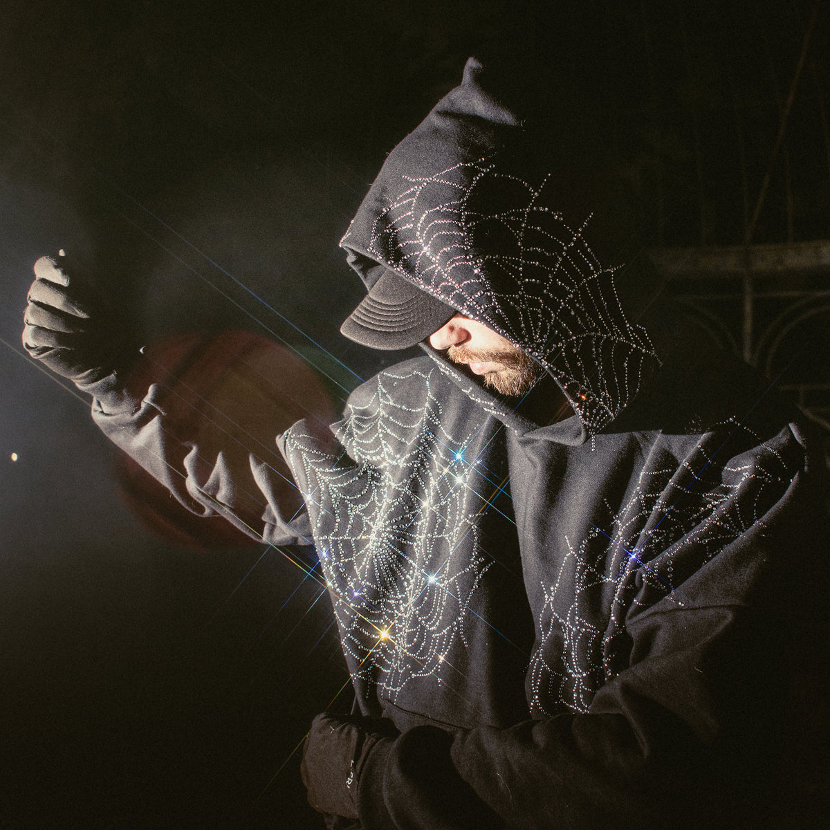 Spider hoodie