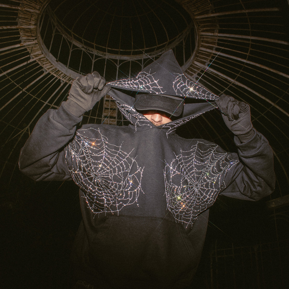 Spider hoodie