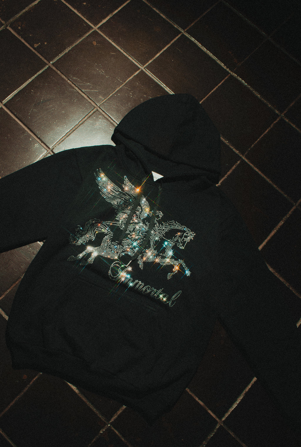 PEGASUS HOODIE