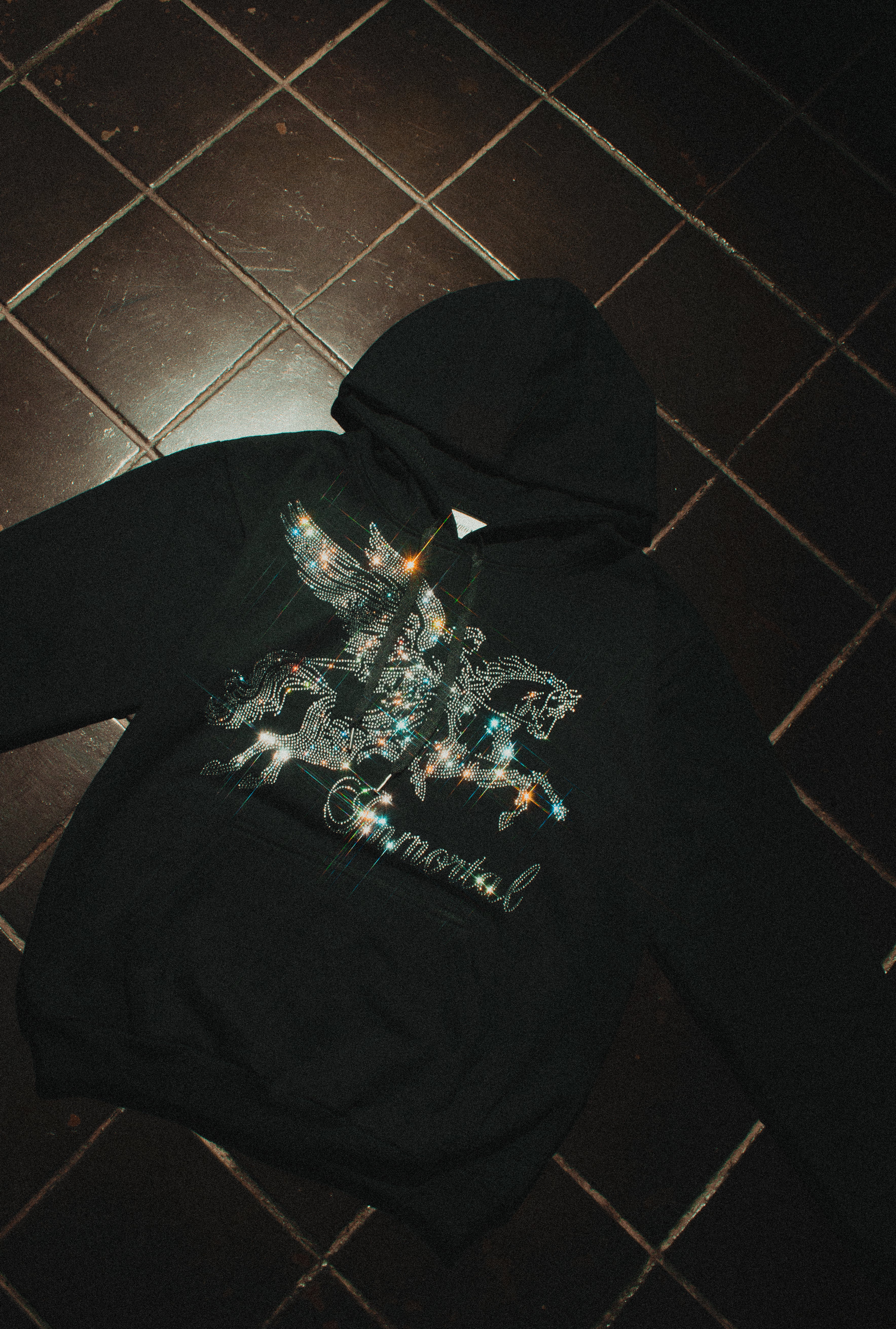 PEGASUS HOODIE