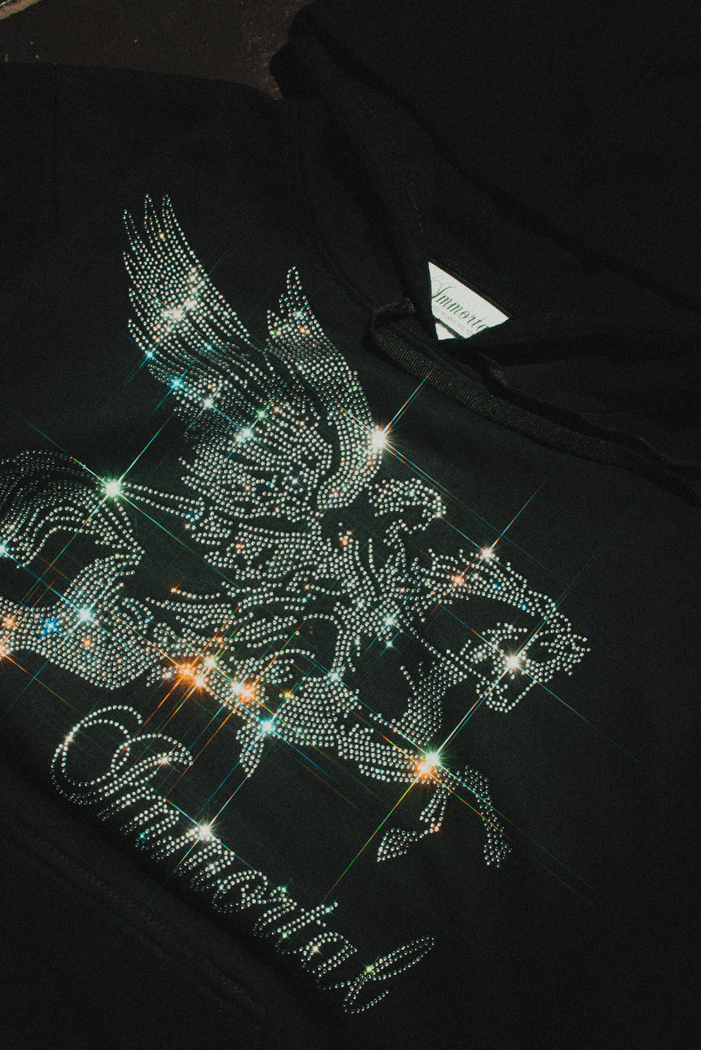 PEGASUS HOODIE