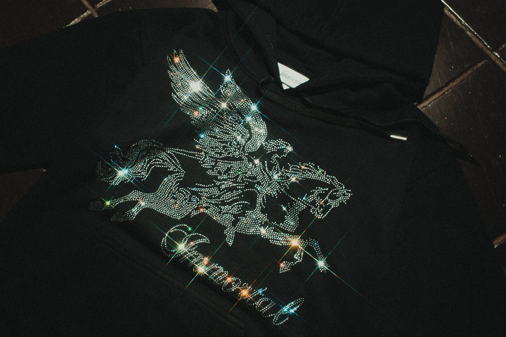 PEGASUS HOODIE