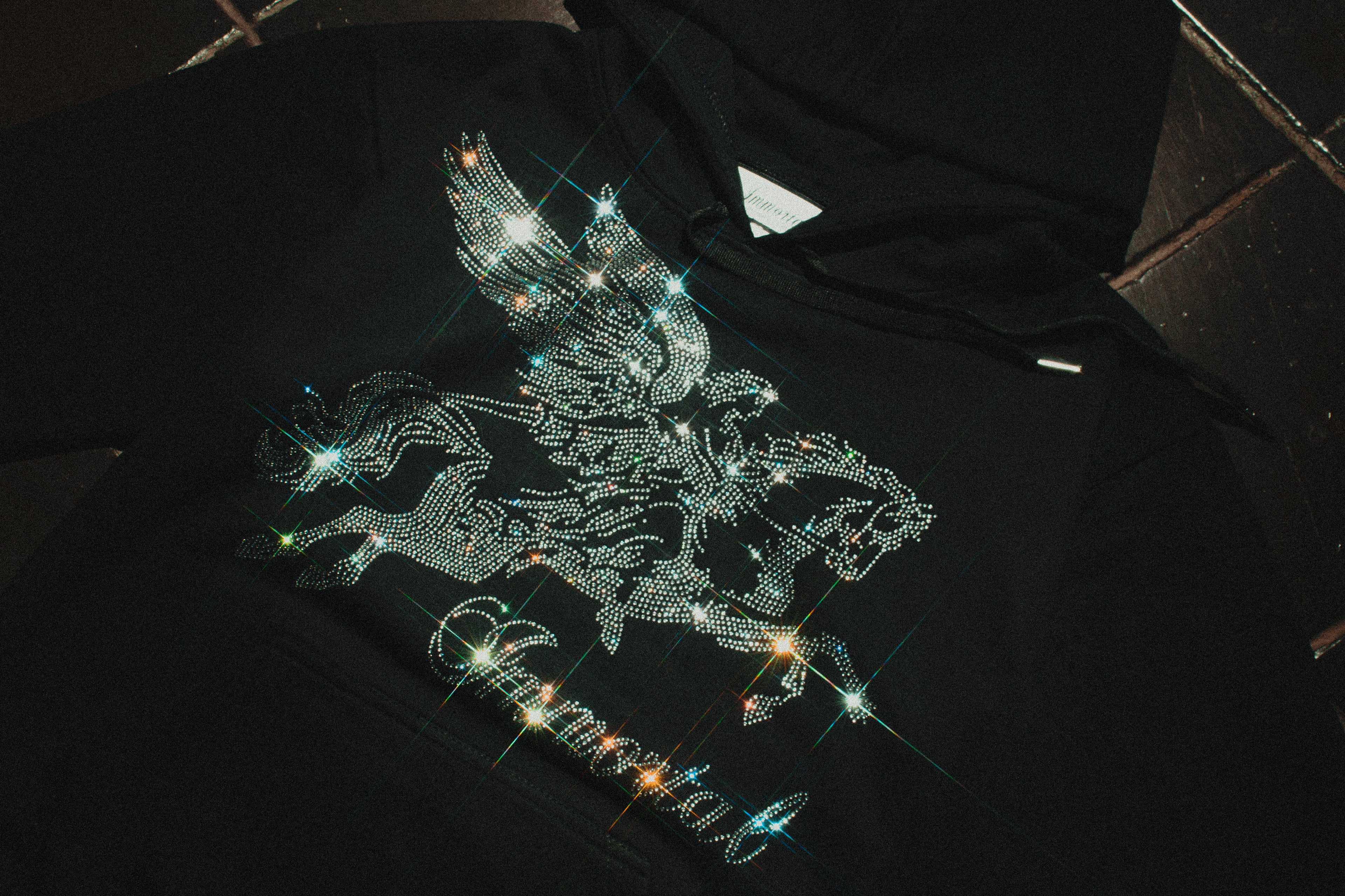 PEGASUS HOODIE
