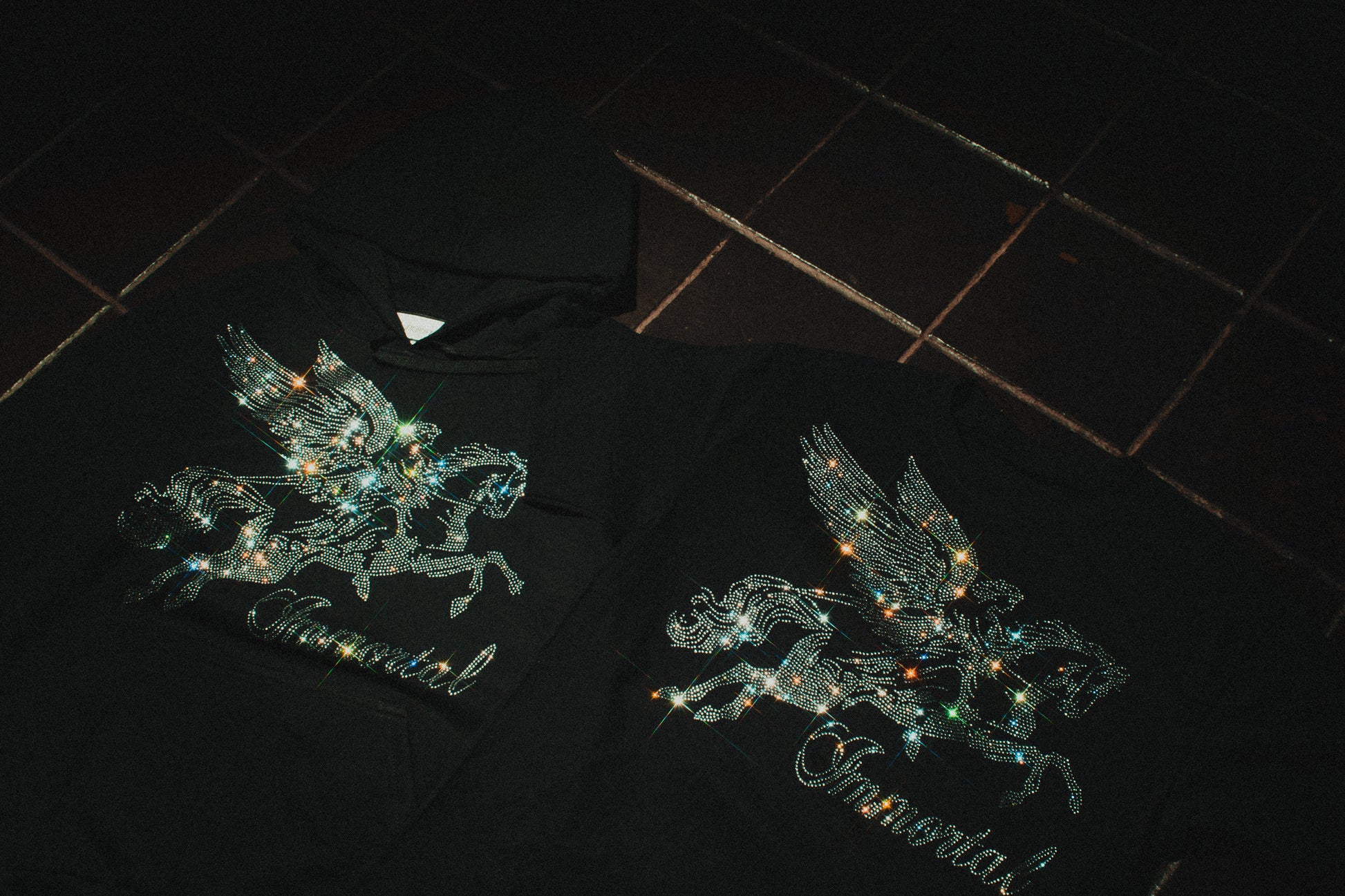 PEGASUS HOODIE